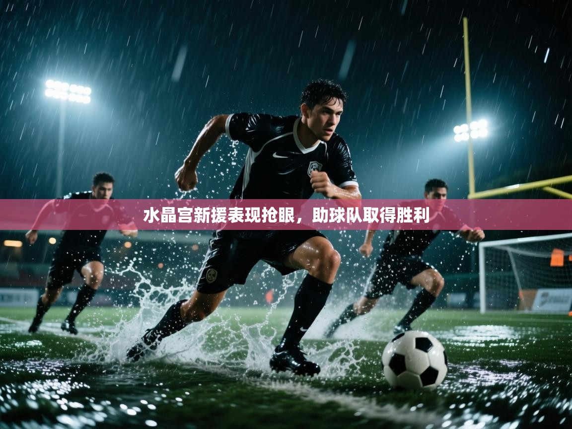 水晶宫新援表现抢眼,助球队取得胜利 第1张