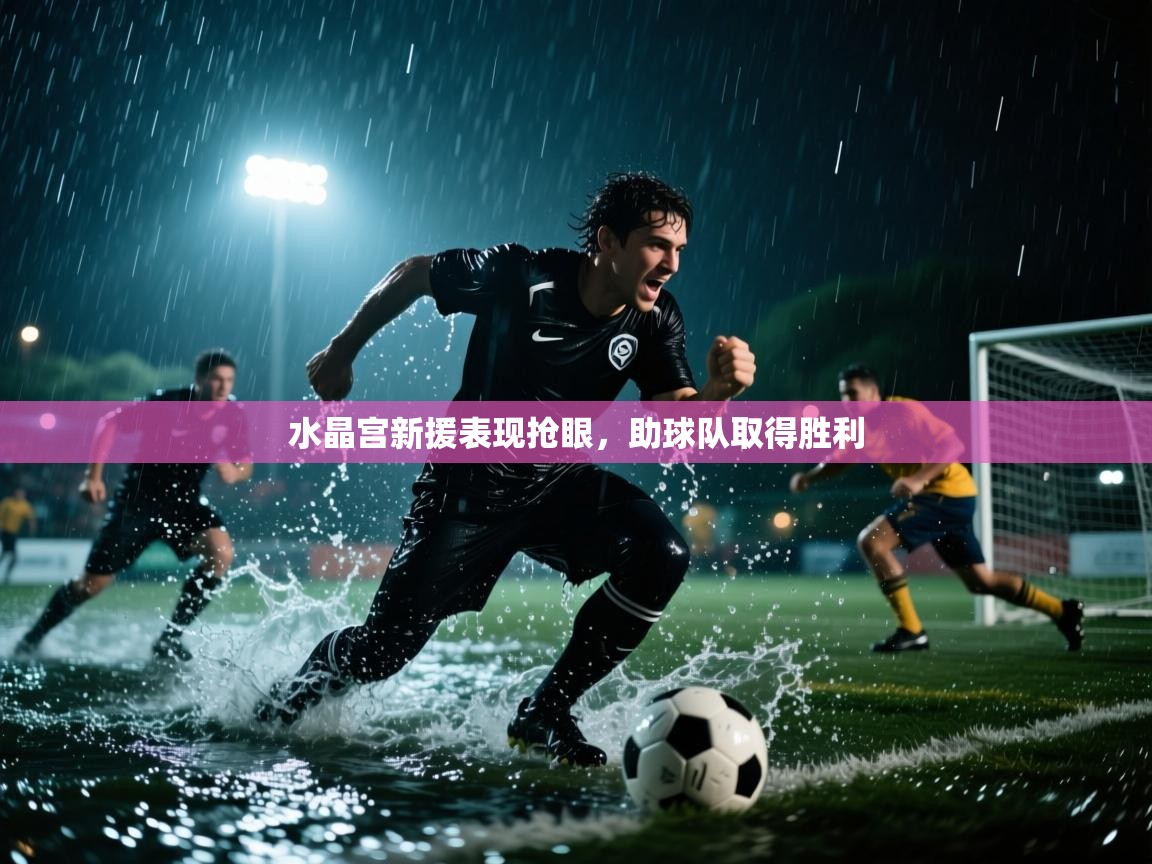 水晶宫新援表现抢眼,助球队取得胜利 第2张