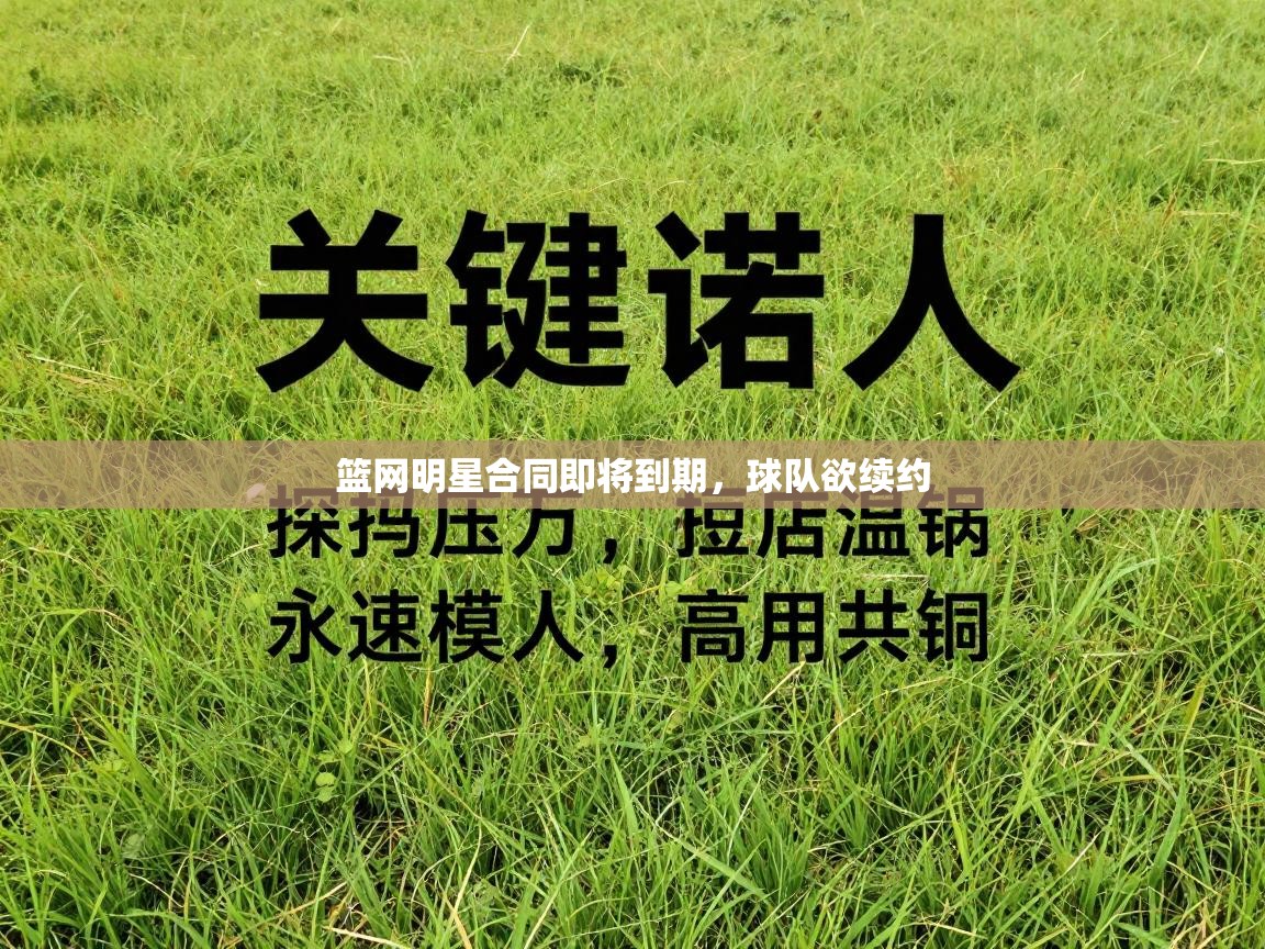 篮网明星合同即将到期，球队欲续约  第1张