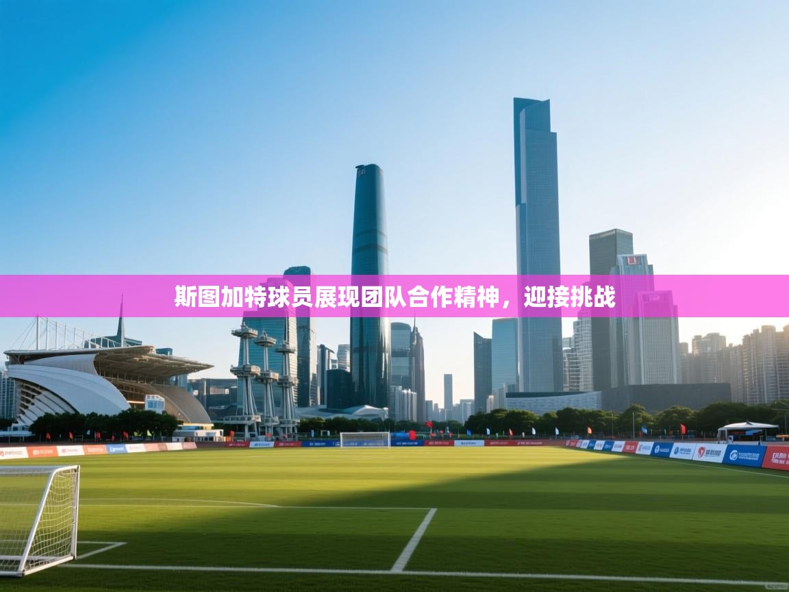 斯图加特球员展现团队合作精神，迎接挑战  第1张