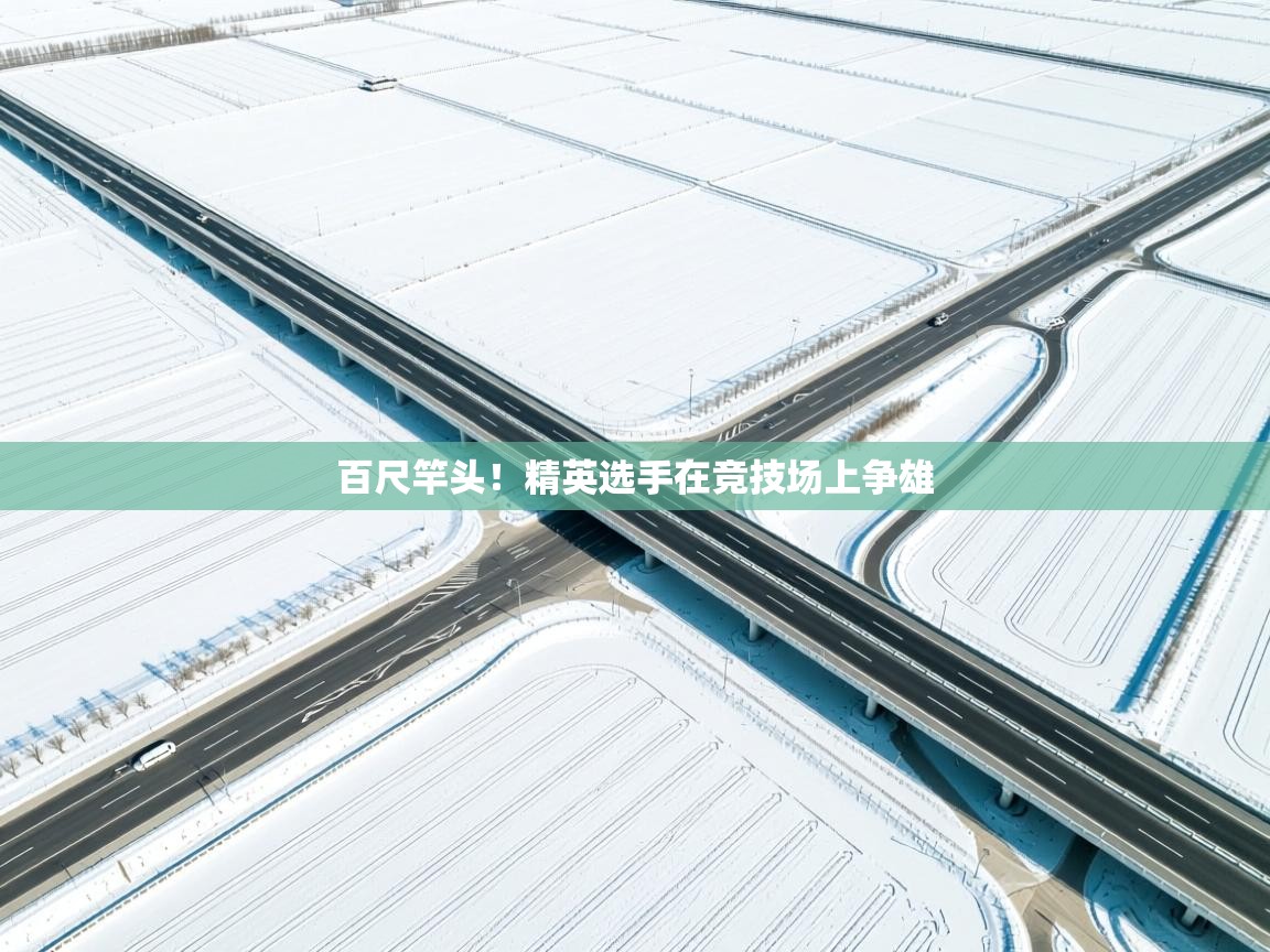 百尺竿头！精英选手在竞技场上争雄  第1张