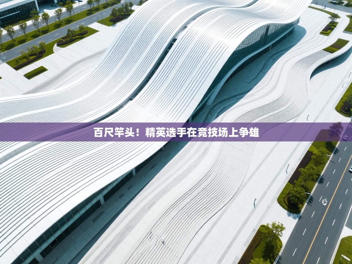 百尺竿头！精英选手在竞技场上争雄  第2张