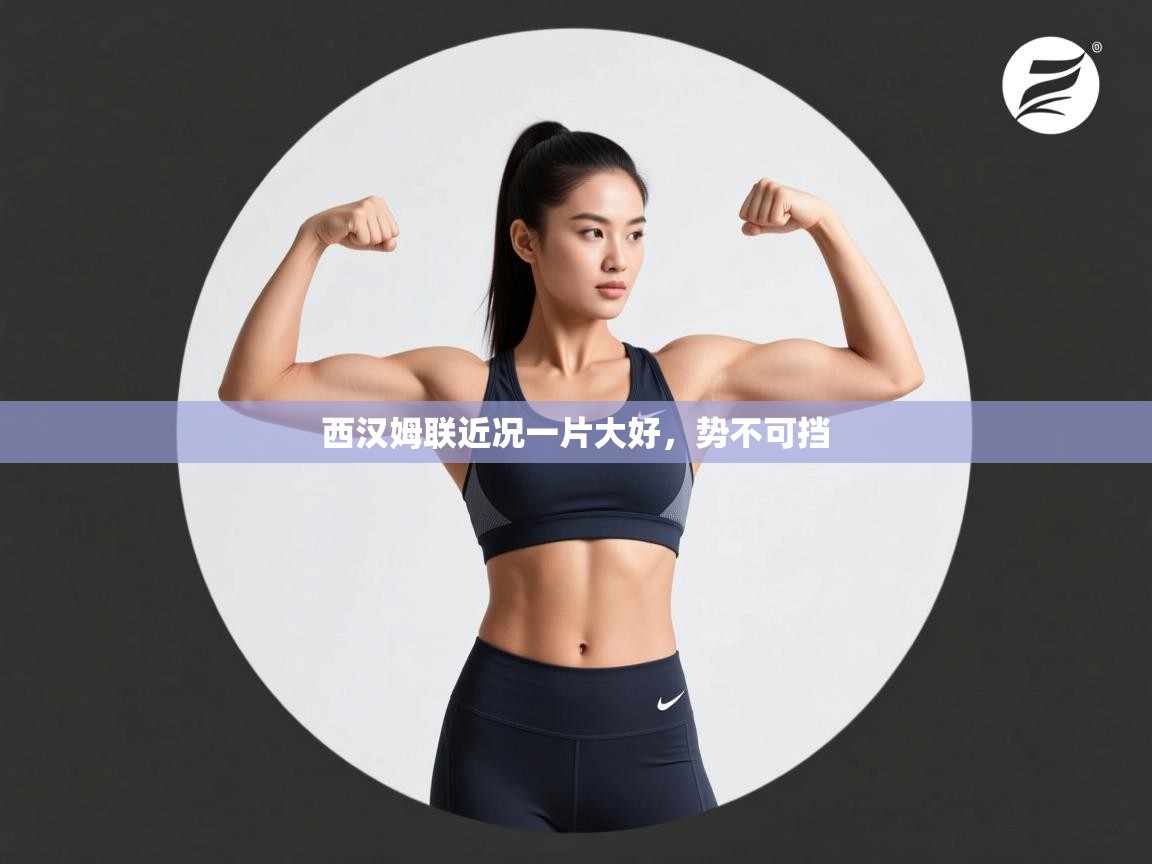 西汉姆联近况一片大好，势不可挡  第2张