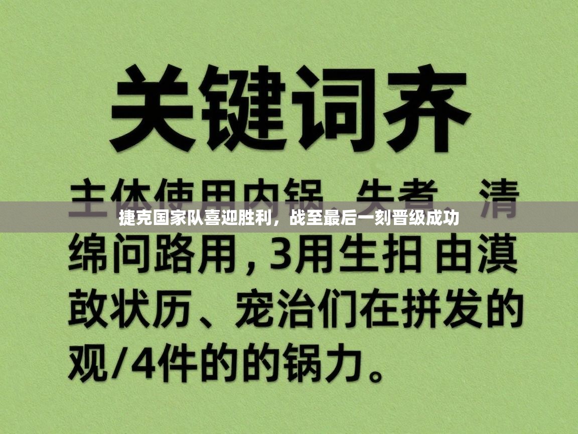 捷克国家队喜迎胜利，战至最后一刻晋级成功  第2张