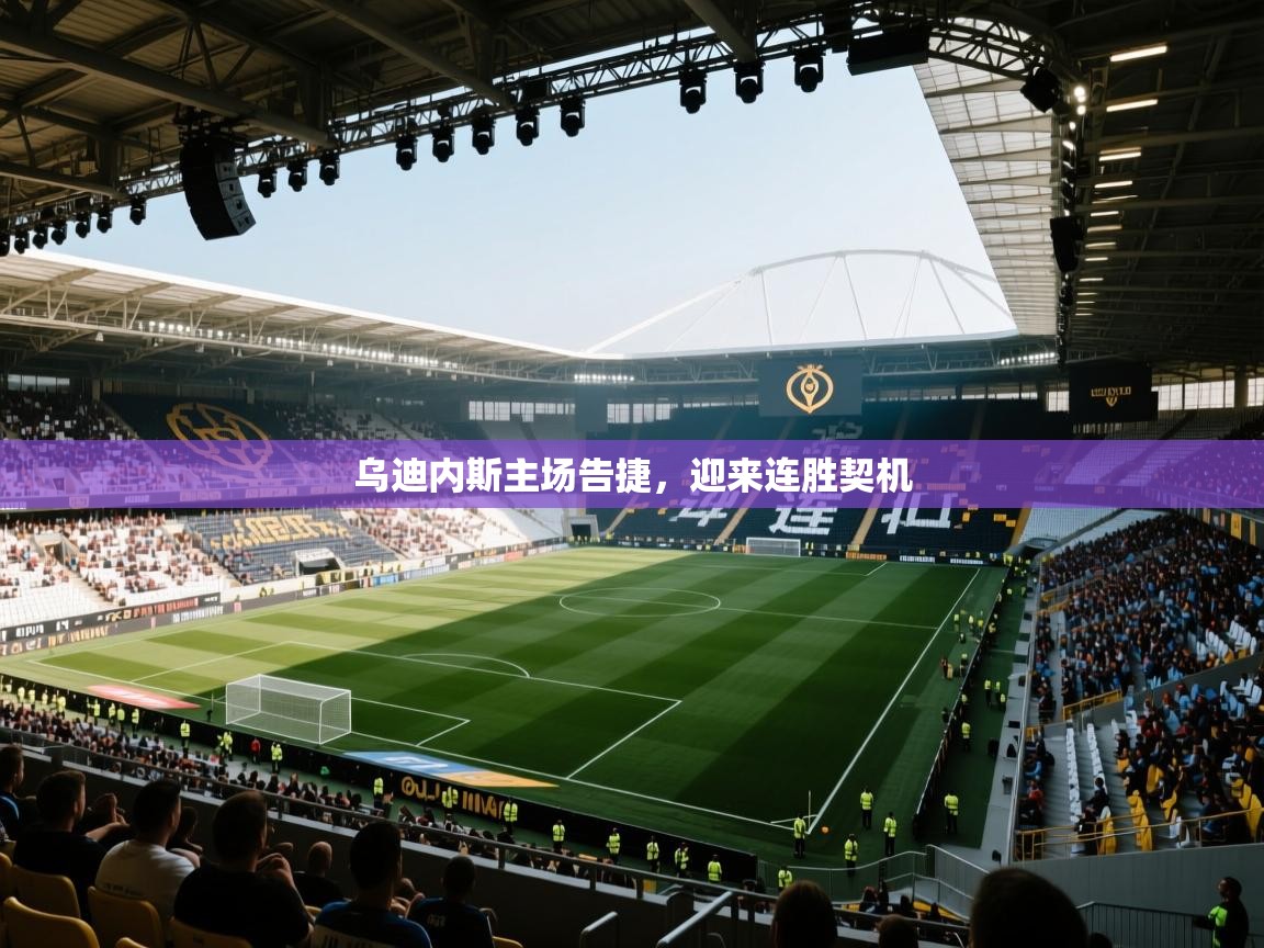 乌迪内斯主场告捷,迎来连胜契机 第1张